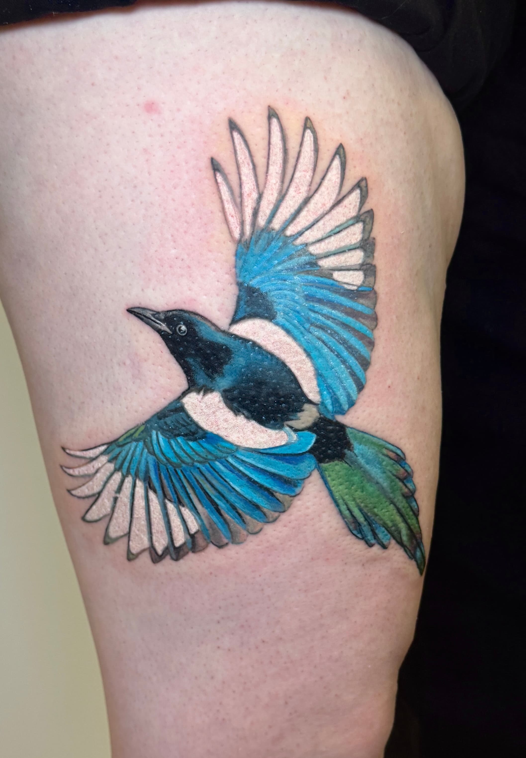Colour animal tattoo