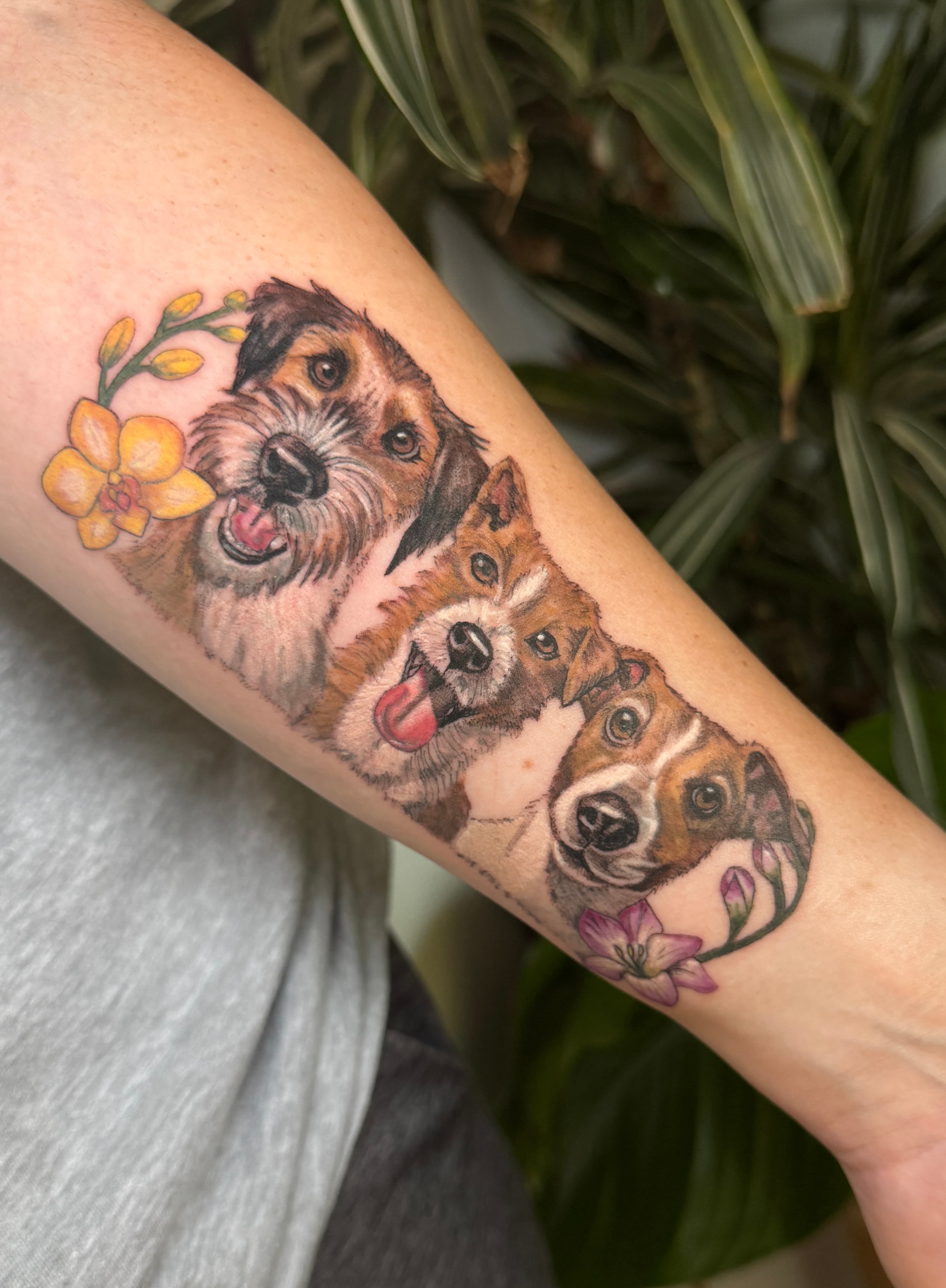 Three dogs micro realism tattoo by Lydia Szubert