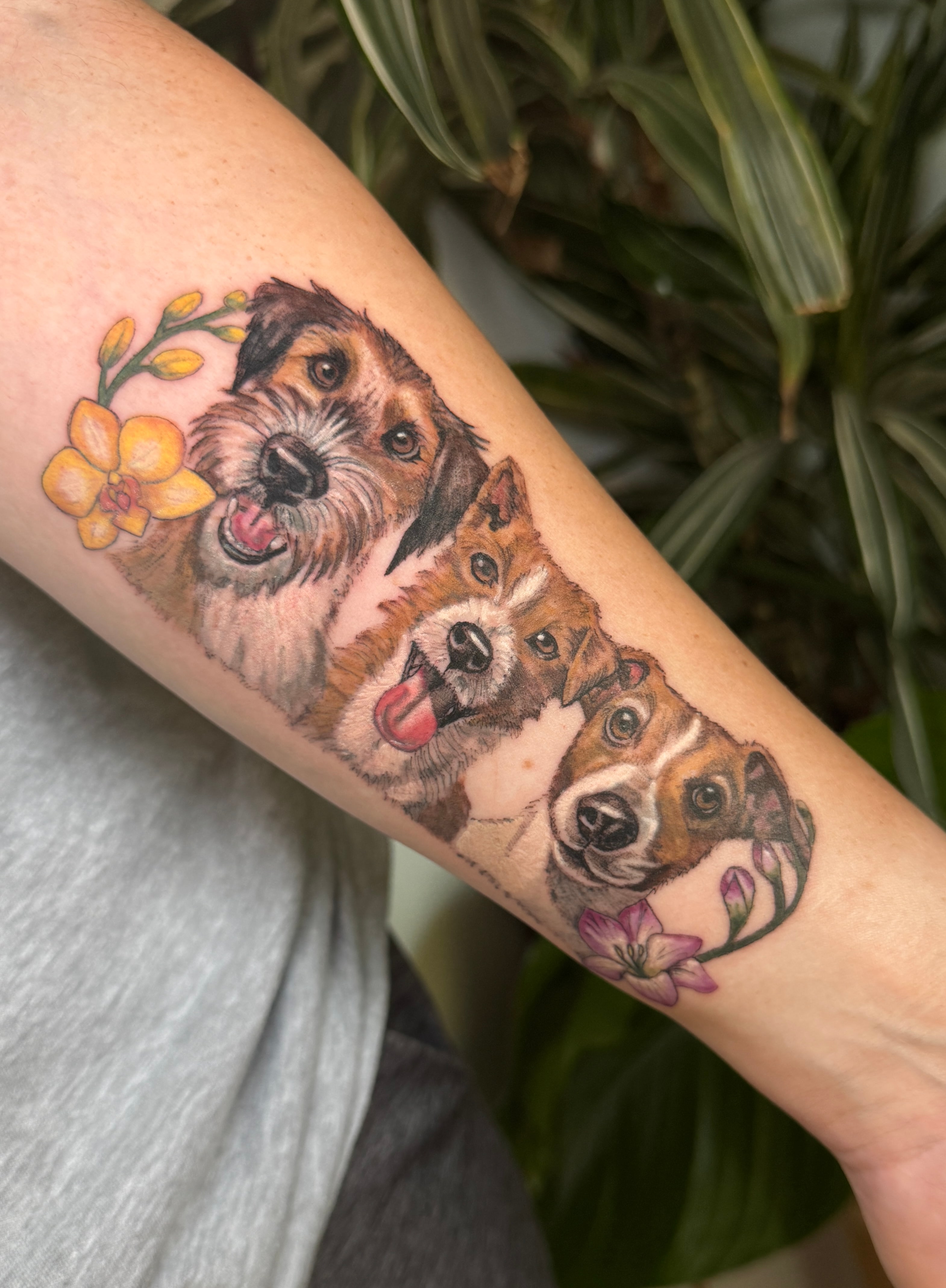 Micro realism dogs portrait tattoo