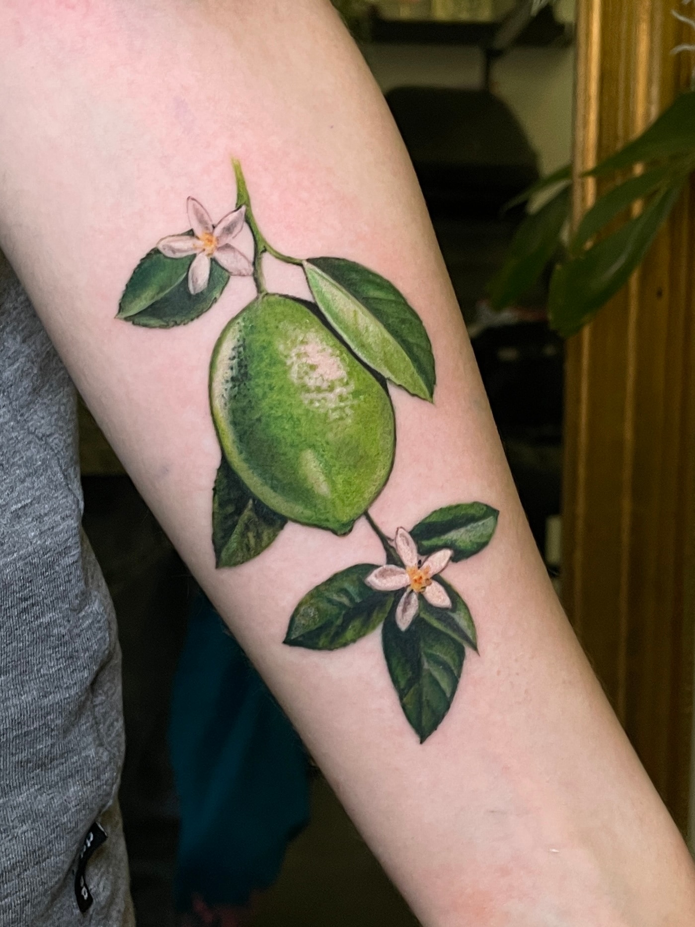 Healed tattoo 5