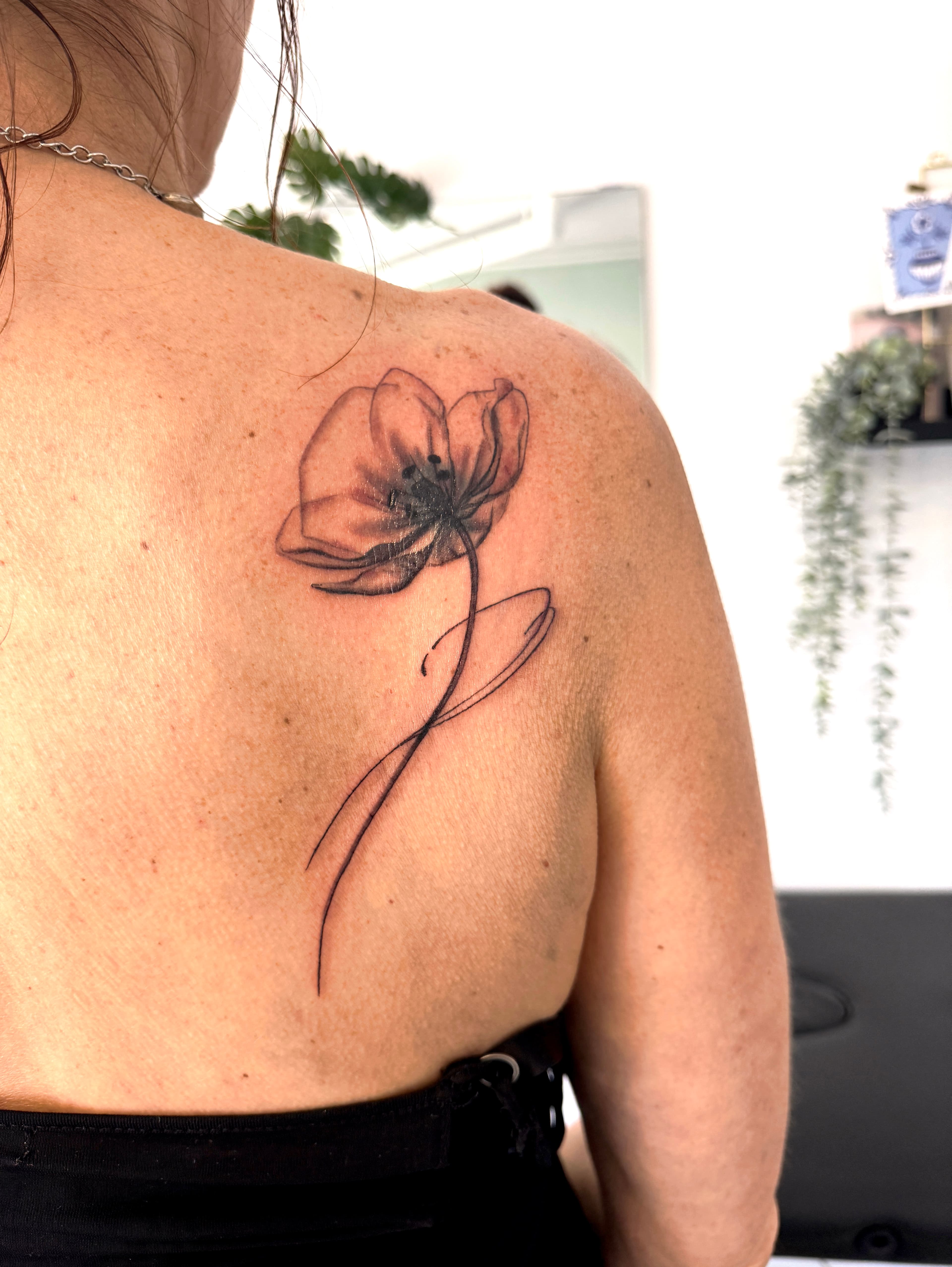 Cover Ups